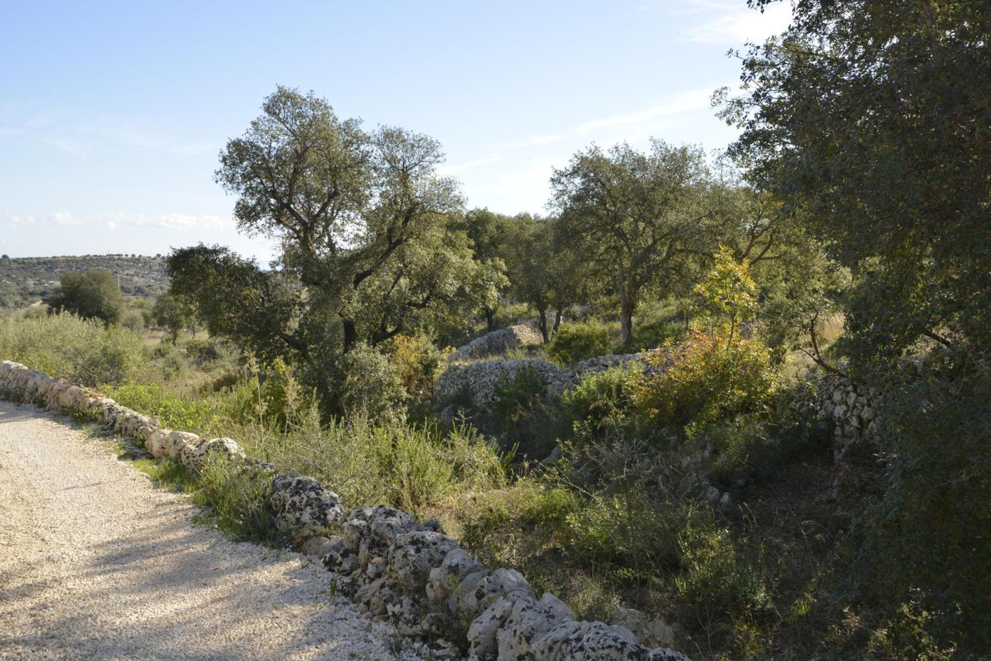 נוטו Casa Imayah Charming B&B מראה חיצוני תמונה