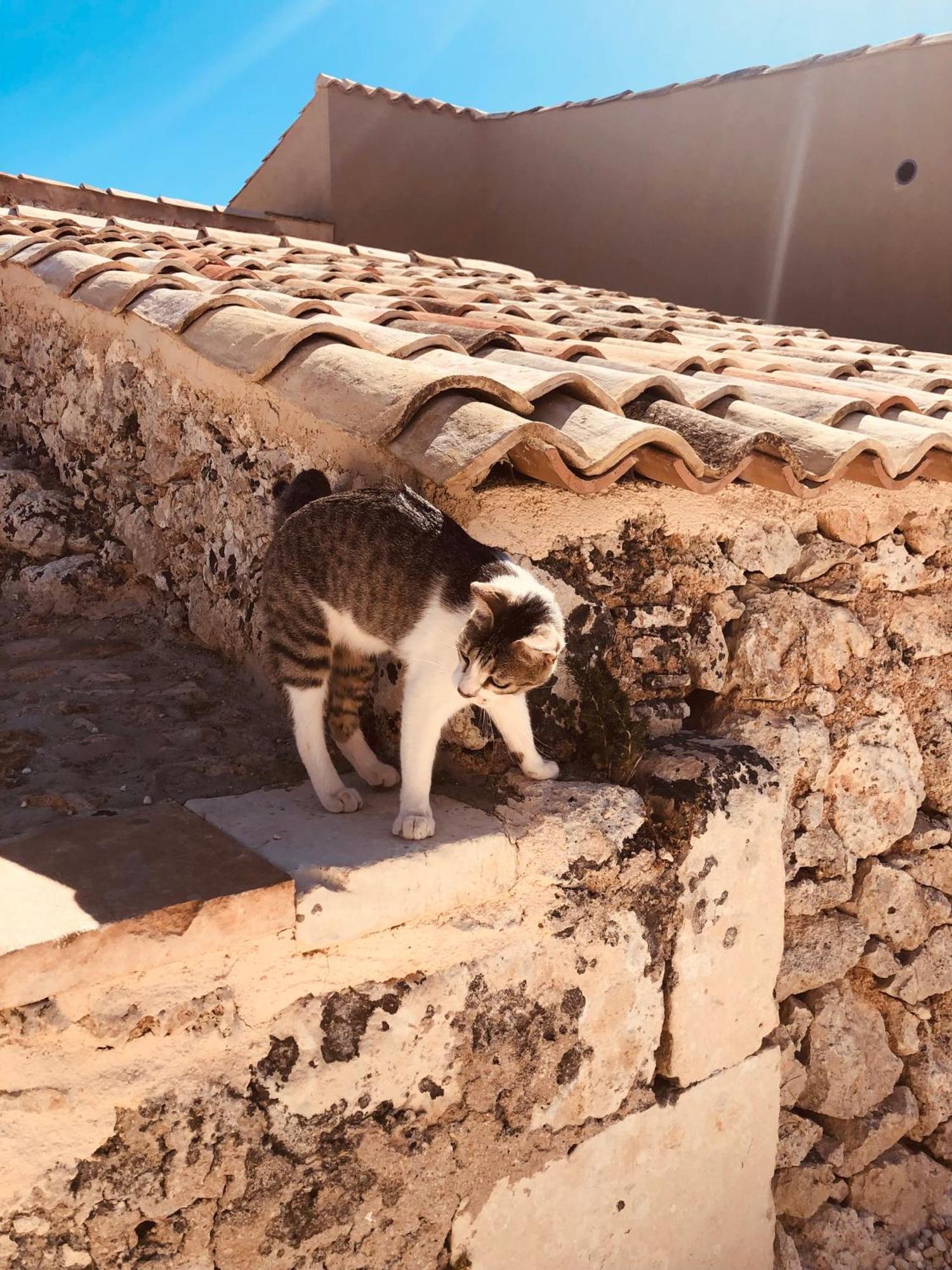 נוטו Casa Imayah Charming B&B מראה חיצוני תמונה