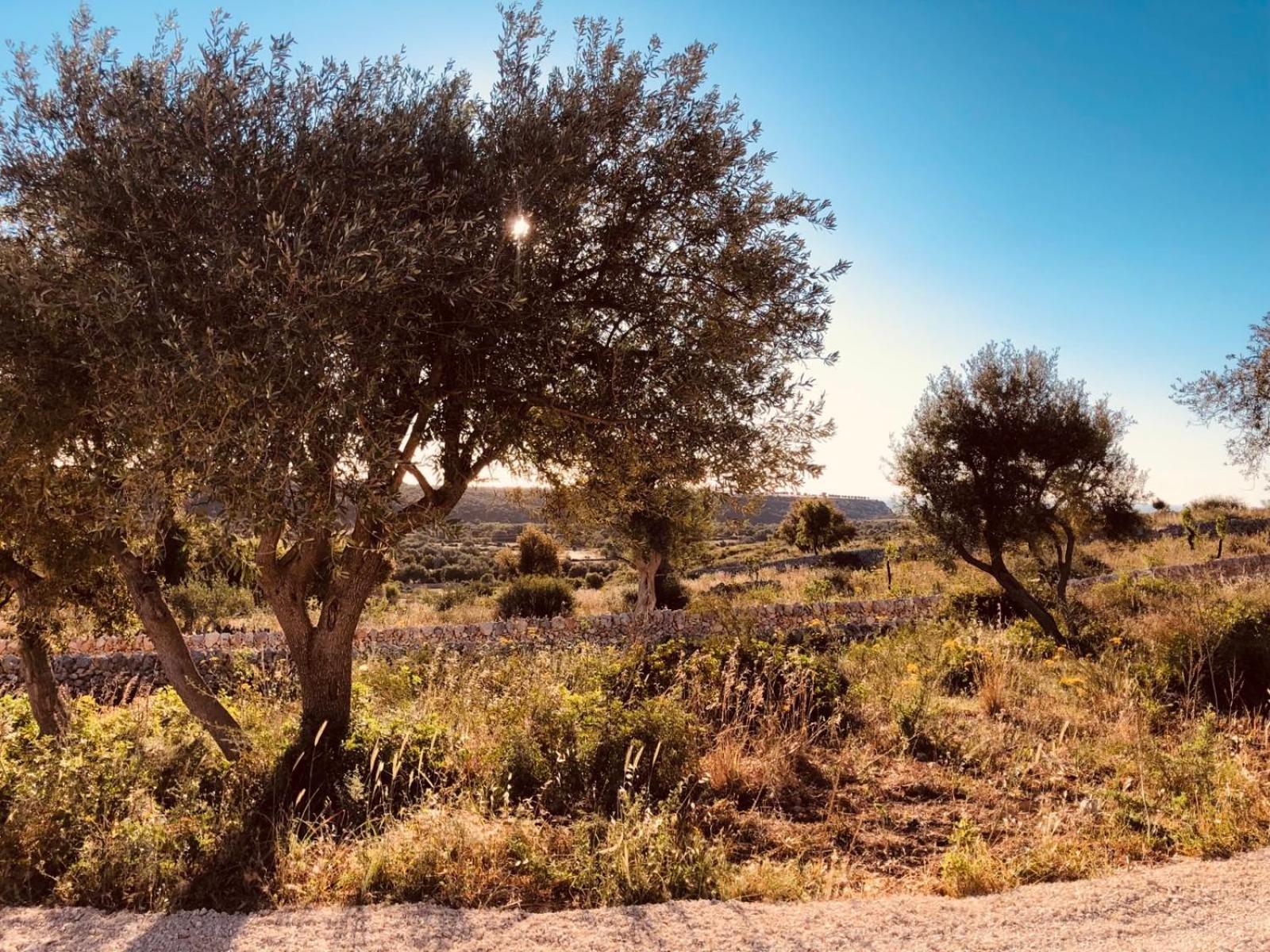 נוטו Casa Imayah Charming B&B מראה חיצוני תמונה